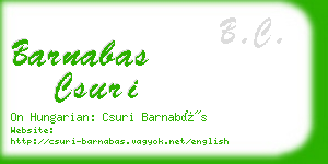 barnabas csuri business card